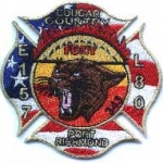 Cougar-County-Richmon-NY