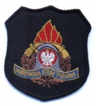 Panstwdwa Straz-2-Polonia